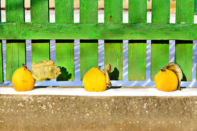 Close-up of yellow fruit on ground