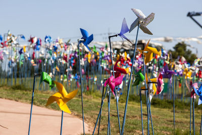 Pinwheels on field at imjingak