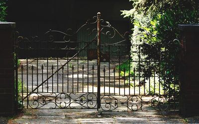 Metal gate against trees