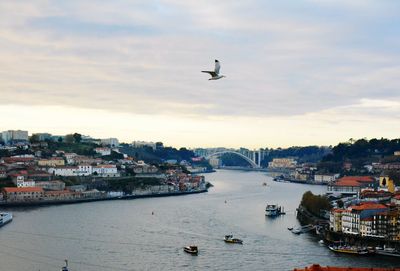 Seagulls flying over sea in city against sky