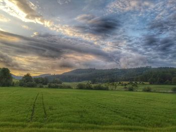 Scenic view of agricultural field against sky