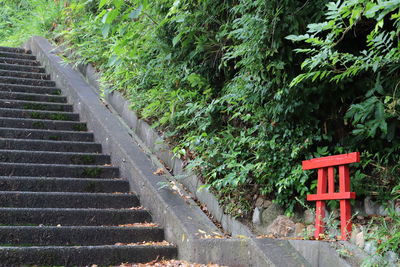 Staircase by trees in park