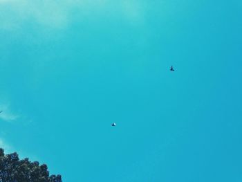 Low angle view of airplane flying in sky