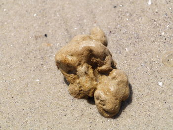 High angle view of sand on beach