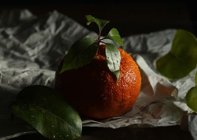 Close-up of orange fruit on table