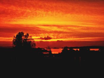 Silhouette trees on landscape against dramatic sky during sunset