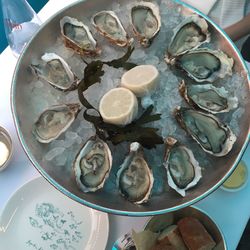 High angle view of shells in plate