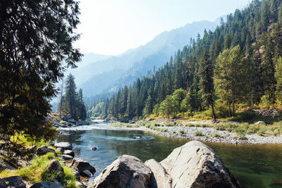 Scenic view of river in forest against sky