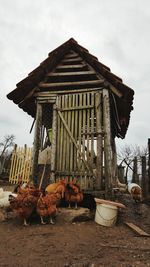 Built structure on beach against sky