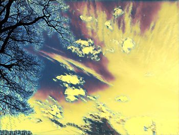 Low angle view of yellow tree against sky