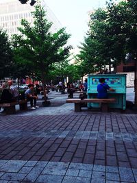 View of pathway along trees
