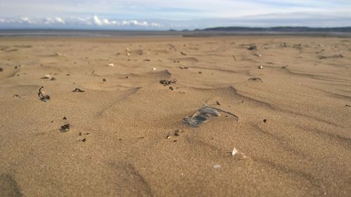 Footprints on sand at beach against sky