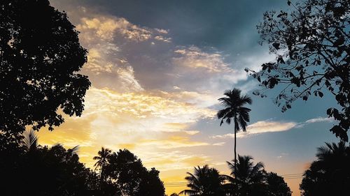 Low angle view of silhouette trees against sky during sunset