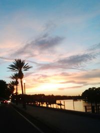 Palm trees at sunset