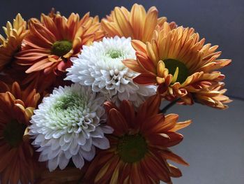 Close-up of dahlia flowers on table