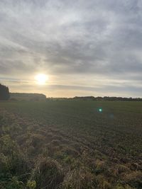 Scenic view of field against sky during sunset