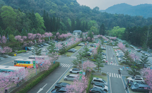 High angle view of vehicles on road along trees