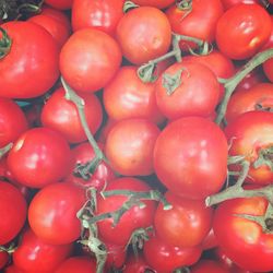 Full frame shot of tomatoes