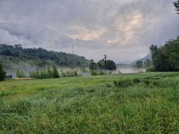 Scenic view of field against sky