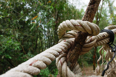 Close-up of rope tied on wooden post