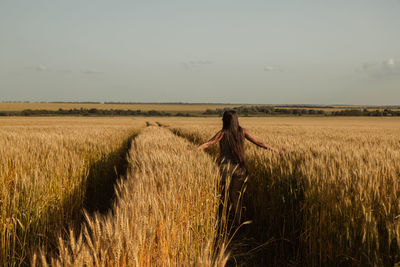 Girl with long hair in a golden wheat field