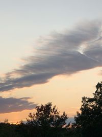 Low angle view of silhouette trees against sky during sunset