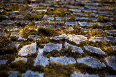 Close-up of rocks in water