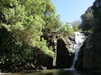 Scenic view of waterfall in forest