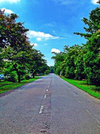 Empty road along trees