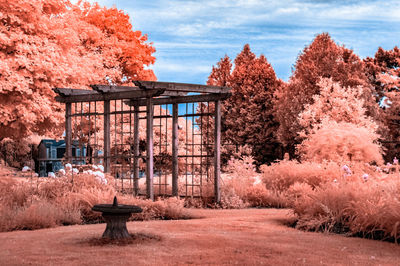 Park by building against sky during autumn