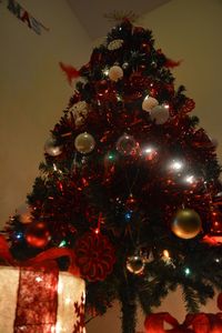 Close-up of illuminated christmas tree at night