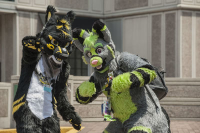 View of animal representation