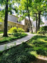 Road by lawn and buildings in city