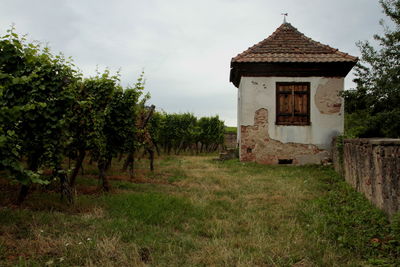 House on field against sky