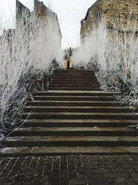 Low angle view of staircase