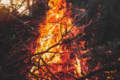 Close-up of bonfire at night