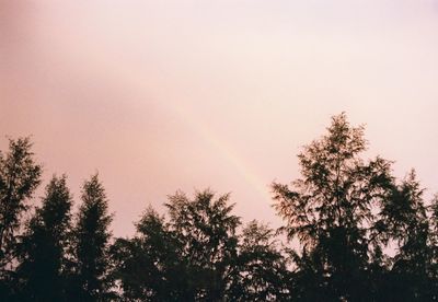 Low angle view of silhouette trees against sky