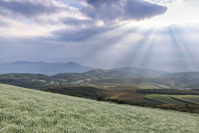 Sun shining through clouds over cultivated landscape