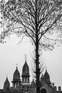 Low angle view of trees and building against sky