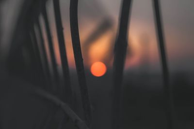 Close-up of sunlight against sky at sunset