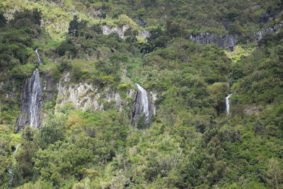 Scenic view of waterfall