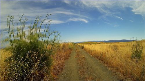 Scenic view of field against cloudy sky