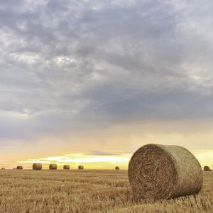 Scenic view of field against cloudy sky