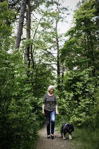 Senior woman walking with dog on footpath amidst trees