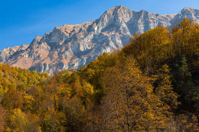 Autumn in the mountains of chechnya in the caucasus