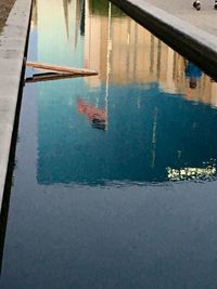 Reflection of trees in water