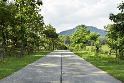 Road amidst trees against sky