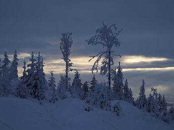 Scenic view of snow covered landscape against sky