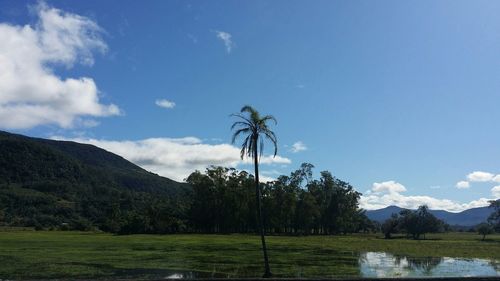 Scenic view of landscape against sky