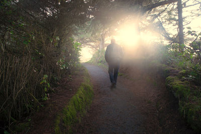Men walking on road amidst trees